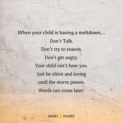 When Your Child Is Having A Meltdown… Don’t Talk