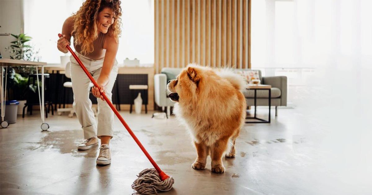 5 Expert House Cleaning Tips For Pet Owners To Keep Your Home Fur-Free