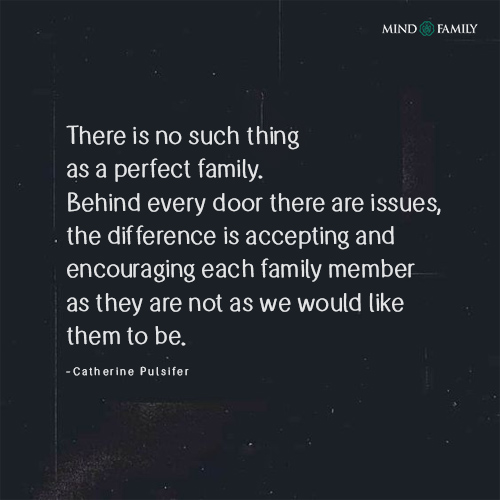 There Is No Such Thing As A Perfect Family